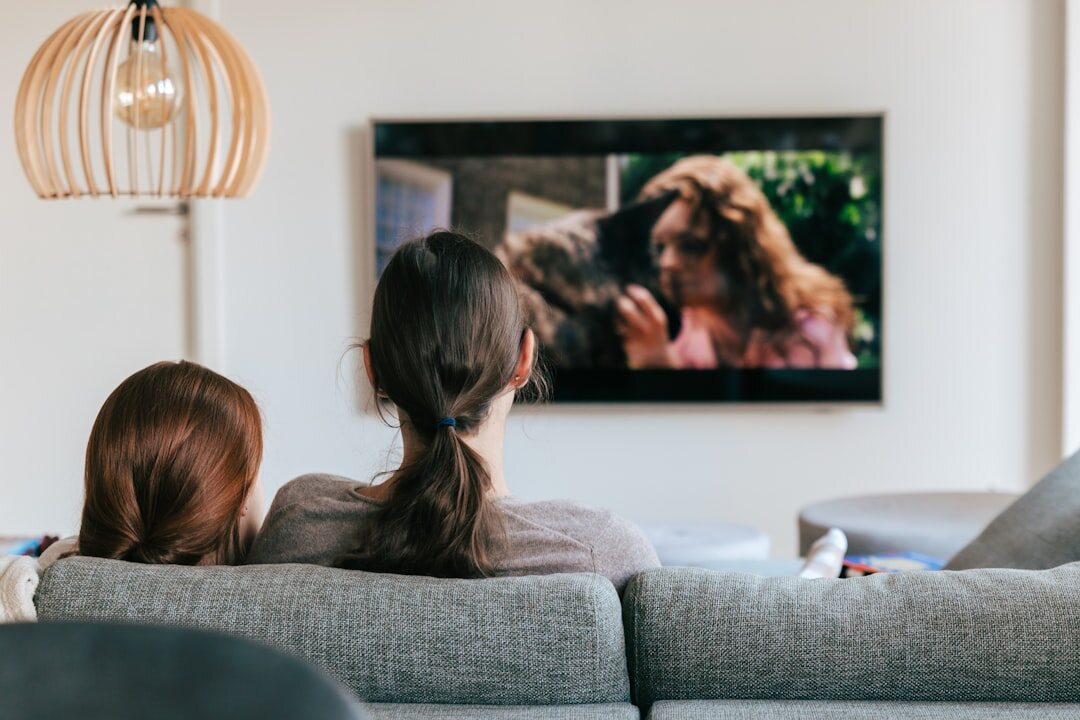 audience watching tv